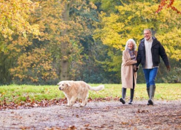A couple walking their dog in nature. 