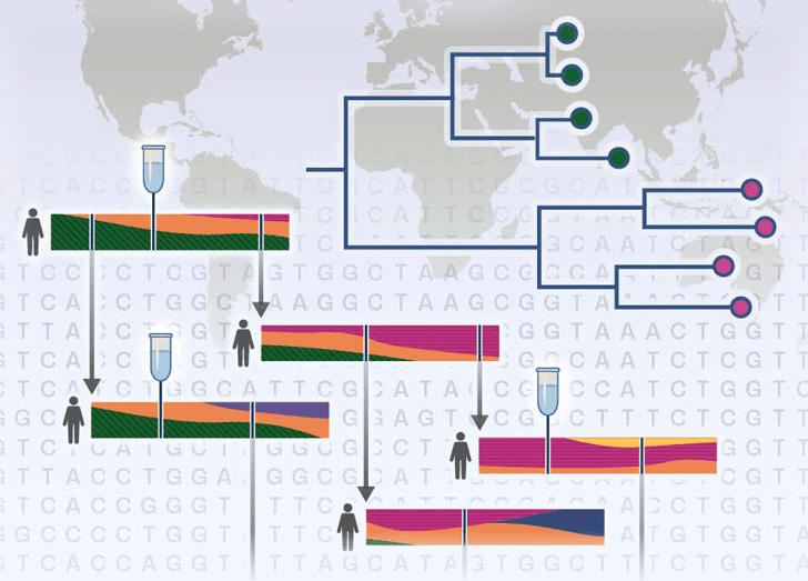 CDC C2 web image
