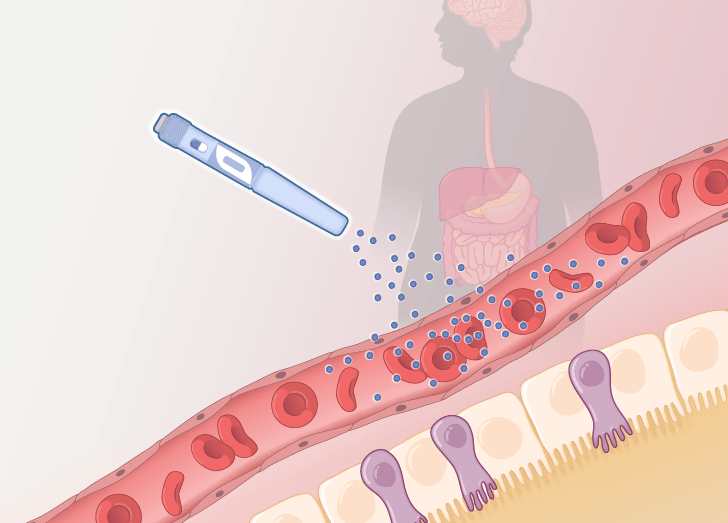 An illustration of a GLP-1 entering the body via needle.