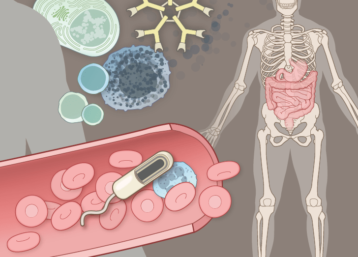 Immunology Fundamentals Course Icon