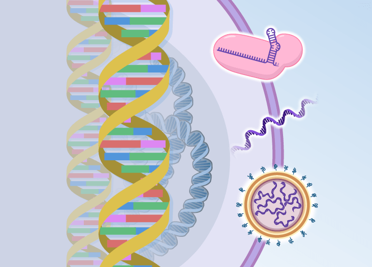 Nucleic Acid Therapeutics Course Illustration.