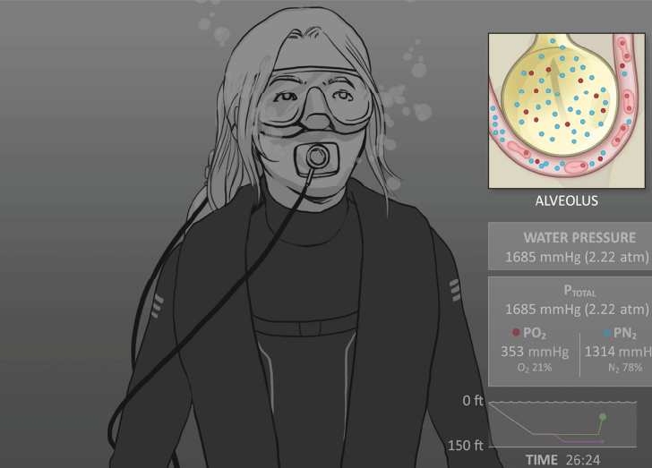 Physiology Course Illustration