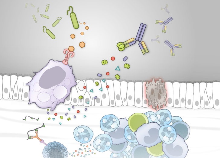 Novel Therapies for Chronic Inflammation course illustration.