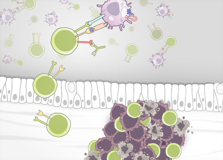 Immuno-oncology course illustration