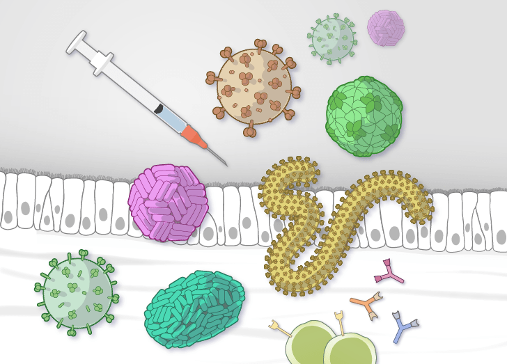 Vaccines Course Illustration