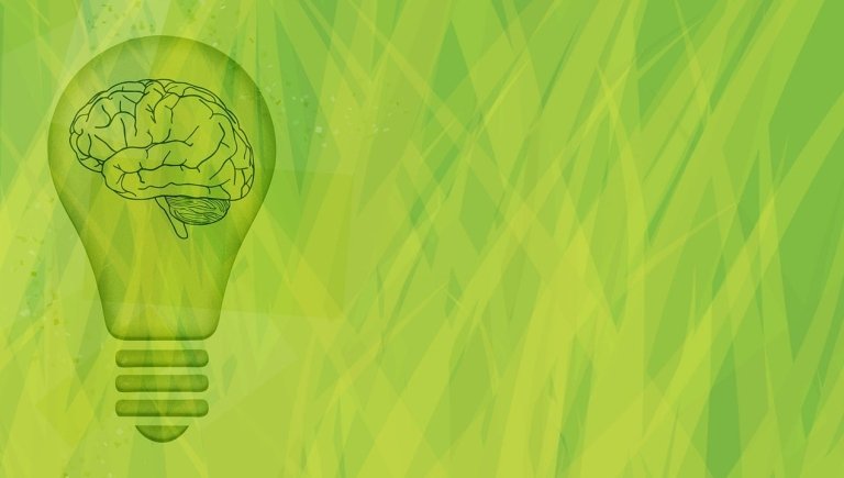 A graphic of a lightbulb with a brain inside of it.