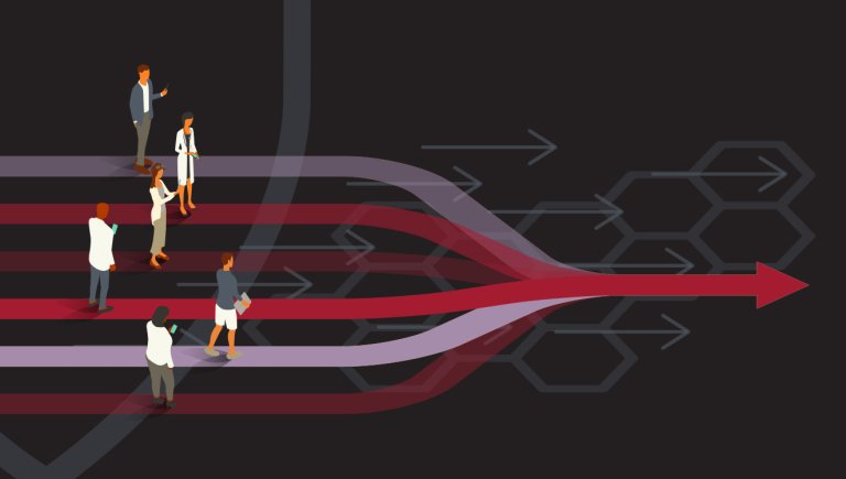 Bridging Innovation