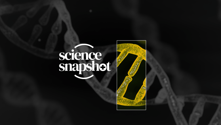 Science snapshot NICU