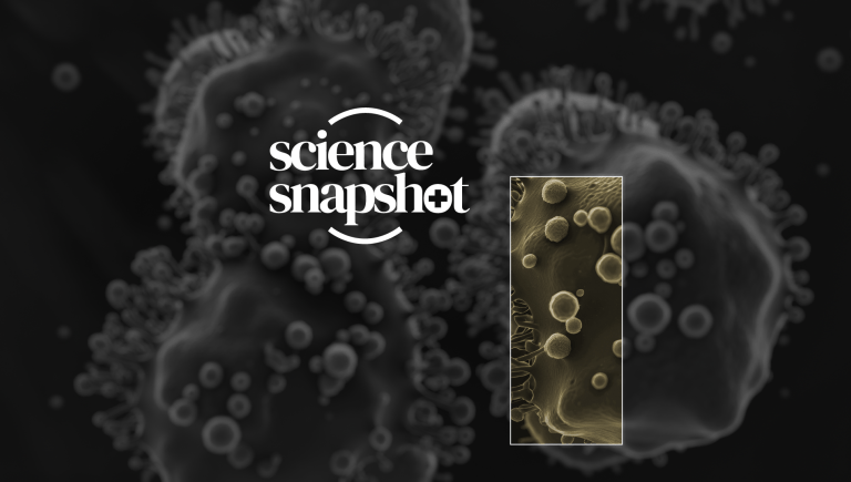 Science snapshot pancreatic 