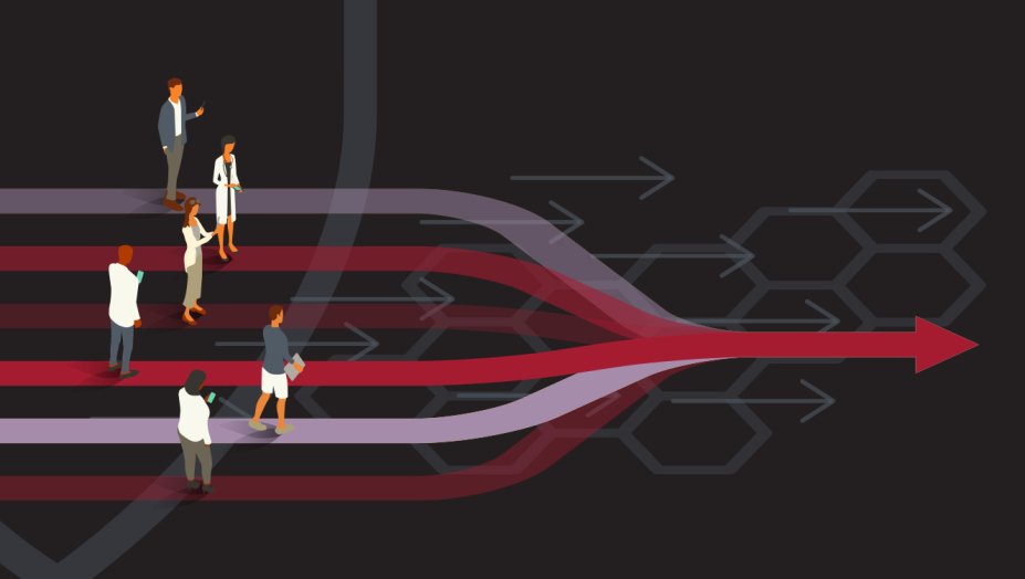 Bridging Innovation