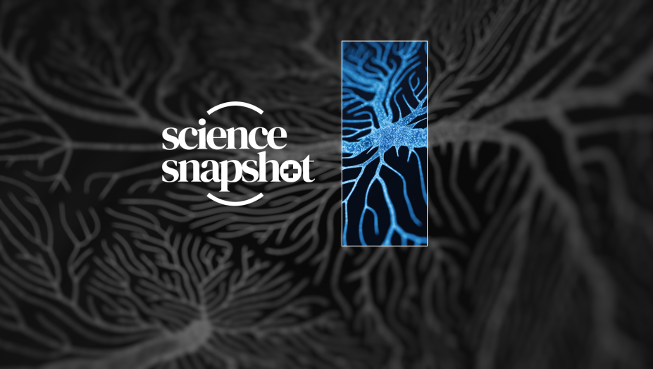 Science snapshot lithium