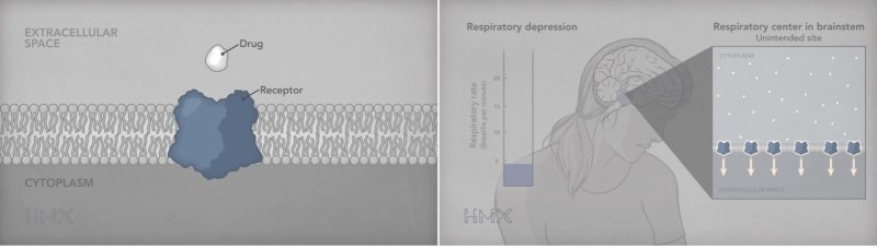 Scenes from the PRO Pharmacology opioids animation and scenario.