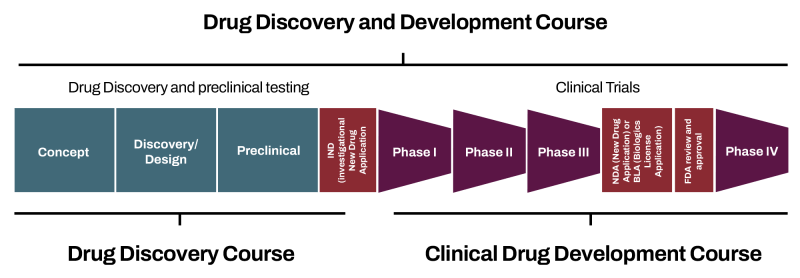 Drug Discovery Phases Illustration