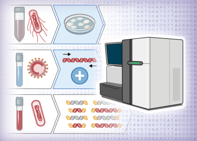 Sequencing Strategies Course Icon